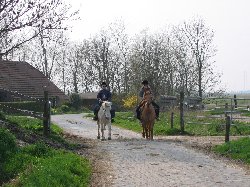 Ponyreiten