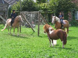 Ponyreiten