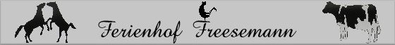Logo Freesemann